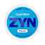 ZYN Cool Mint 9mg